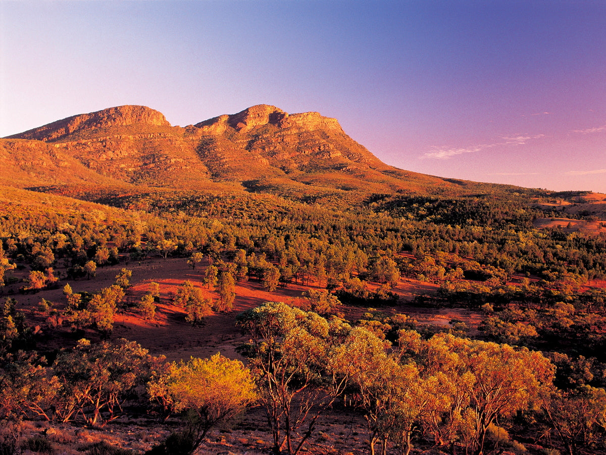 4-Day Lake Eyre & Flinders Ranges Small Group 4Wd Eco Safari