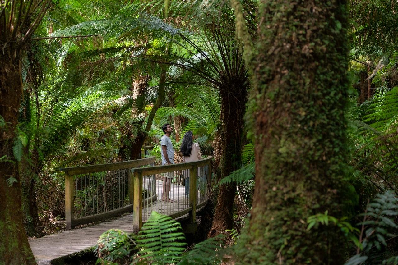 Autopia Tours: Great Ocean Road To Grampians 2 Day