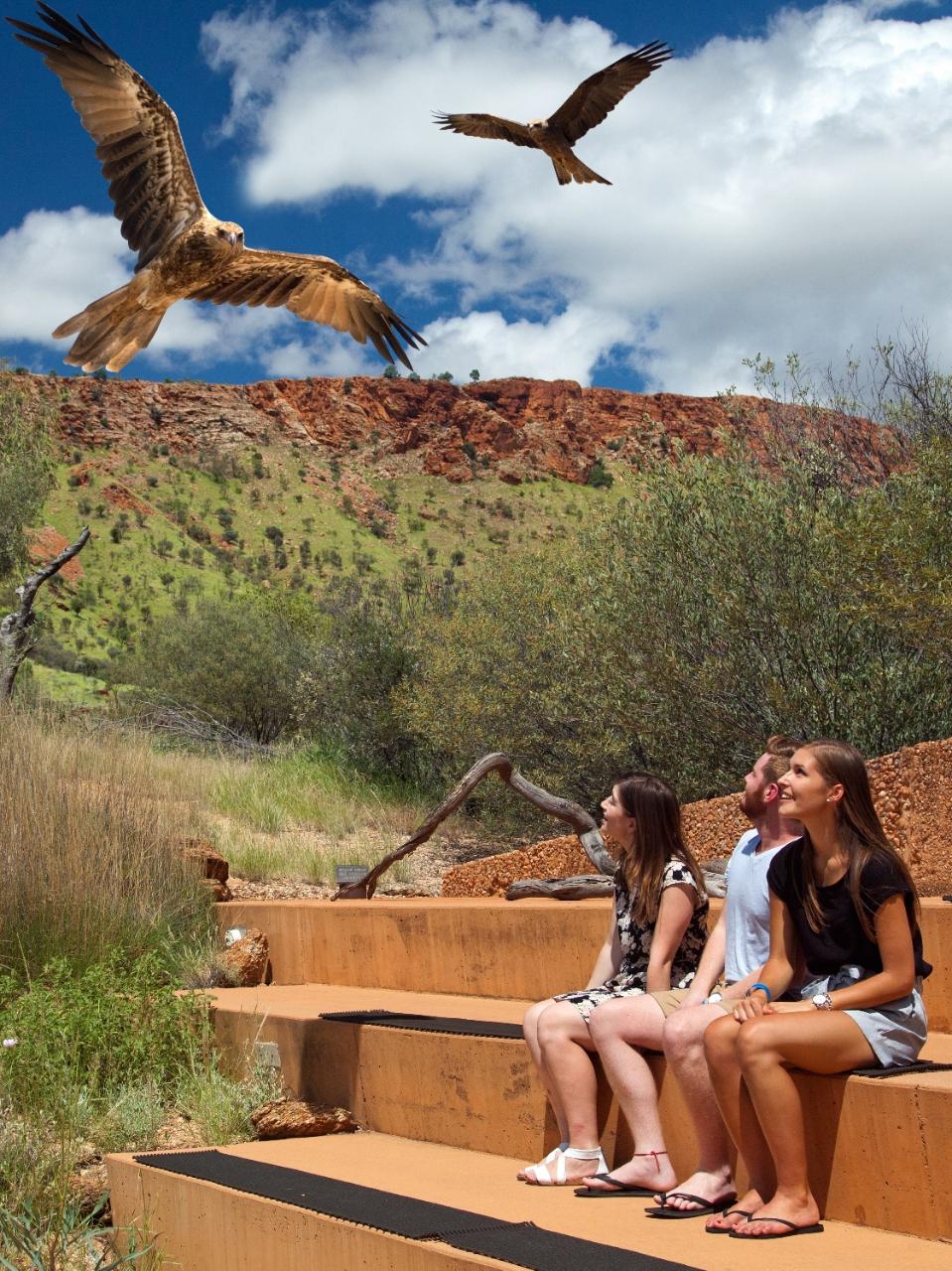 Desert Park Transfer Entry Included