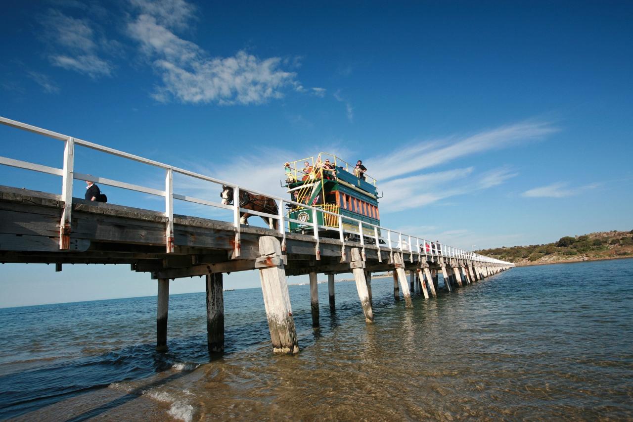 Vines And Victor Harbor Eco Adventure