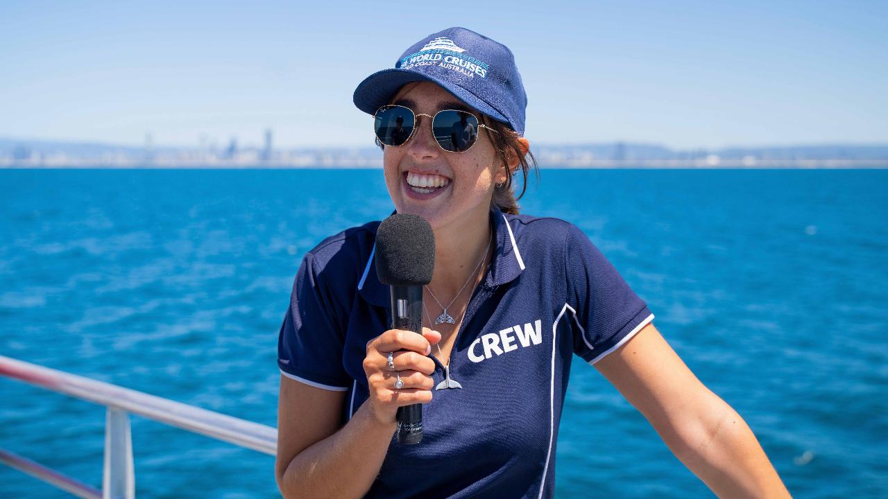 Sea World Whale Watch