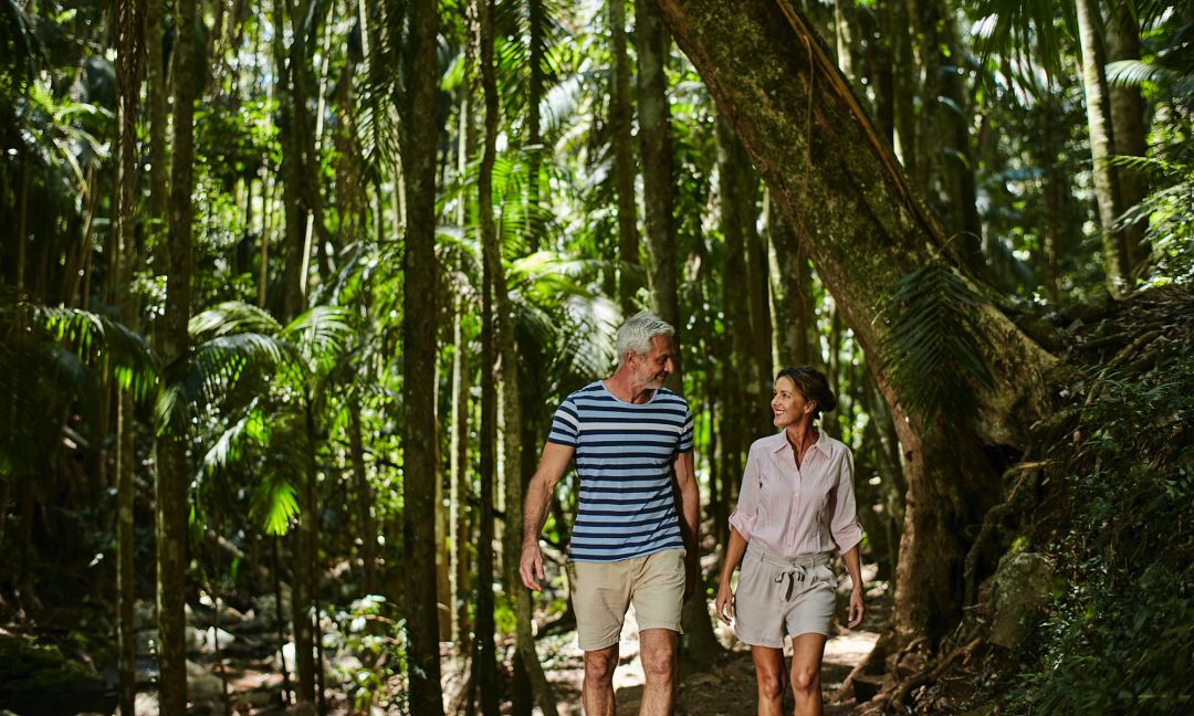 Montville Day Tour: Ginger Factory, Rainforest & Views