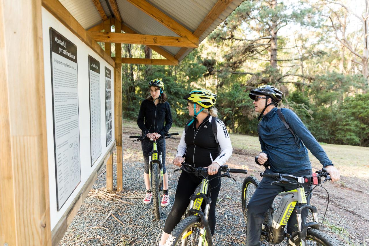 Self Guided E-Bike Tour - Pedal To Produce Series - Narooma To Tilba Valley Winery & Ale House