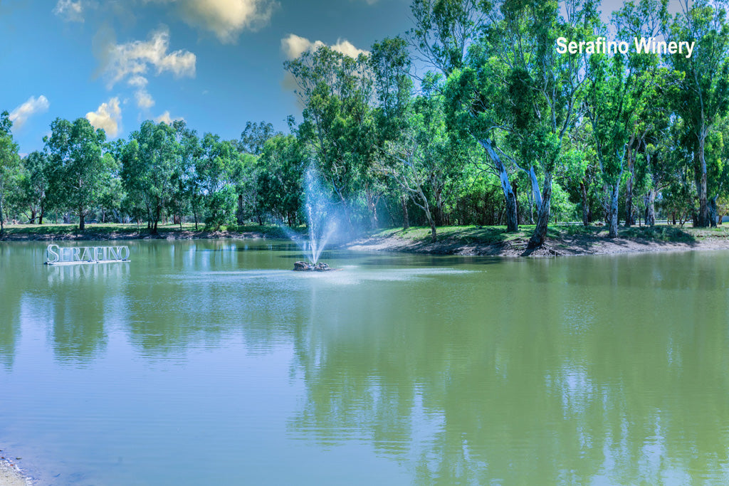 Mclaren Vale Wine Tour Gold Package Full Day