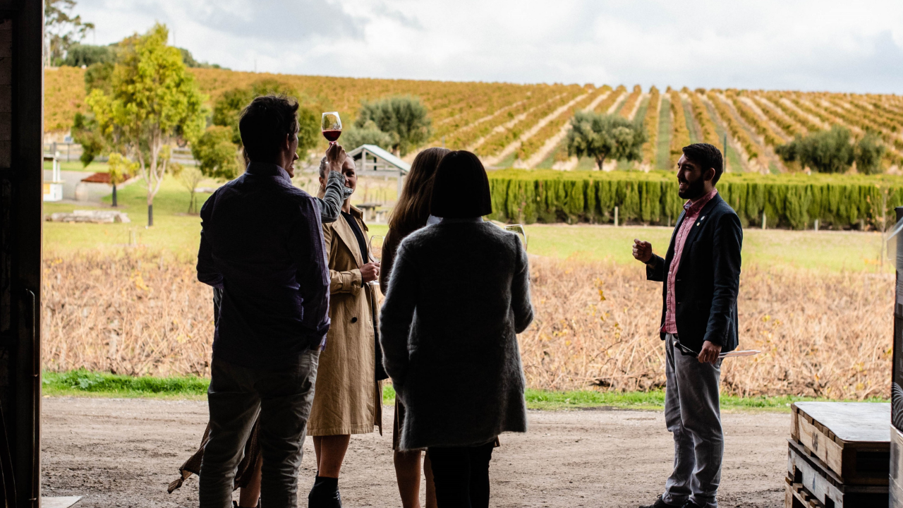 Winery Heritage Tour & Tasting Experience At Maxwell Wines