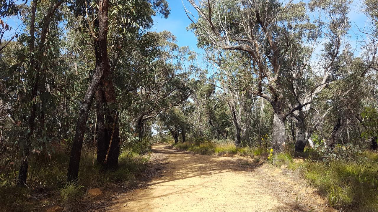 E- Bike (Electric) Guided Tour - Half Day - Hanging Rock - Blackheath