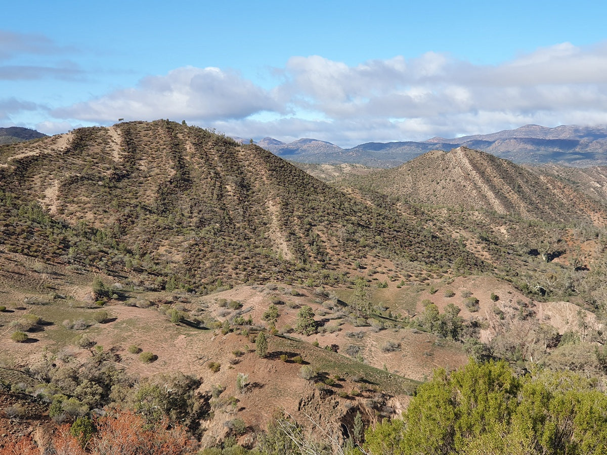 4-Day Lake Eyre & Flinders Ranges Small Group 4Wd Eco Safari