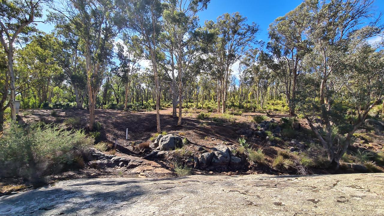 Manns Gully Meditation Hike