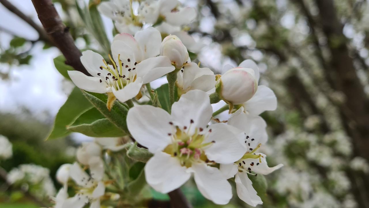 Perth Hills Hike, Wine & Dine Experience