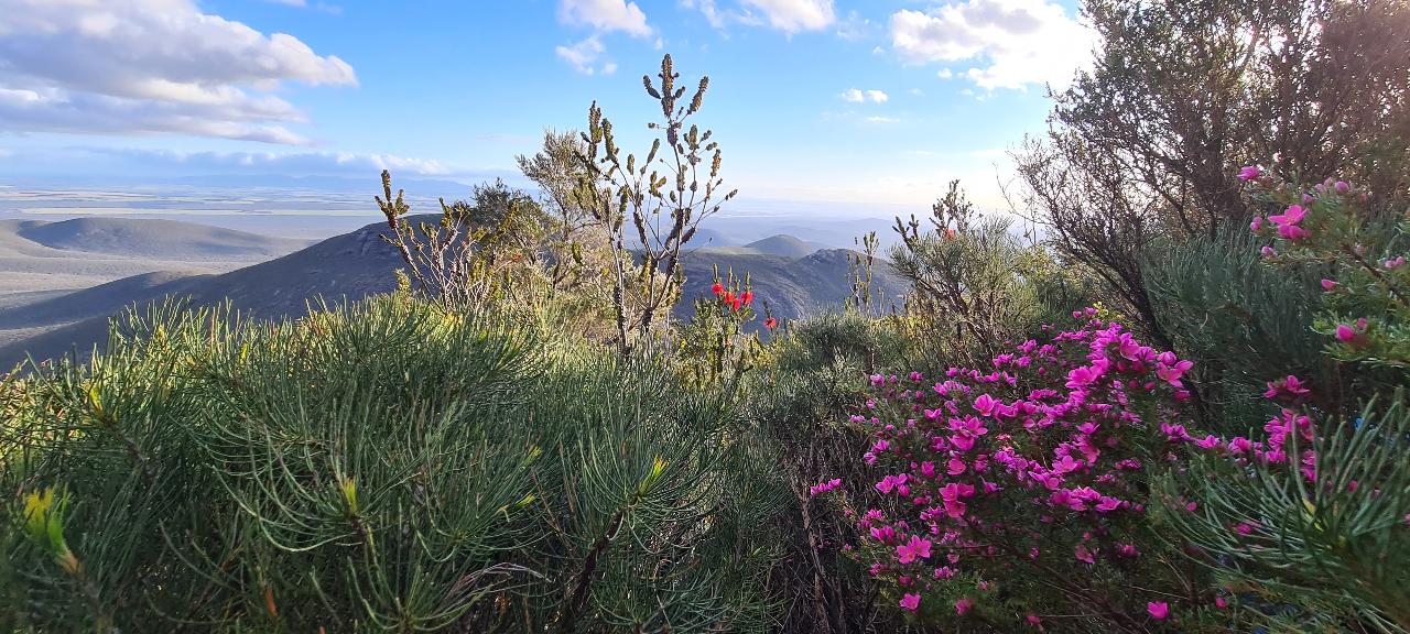 Stirling Range Twin Peak Experience