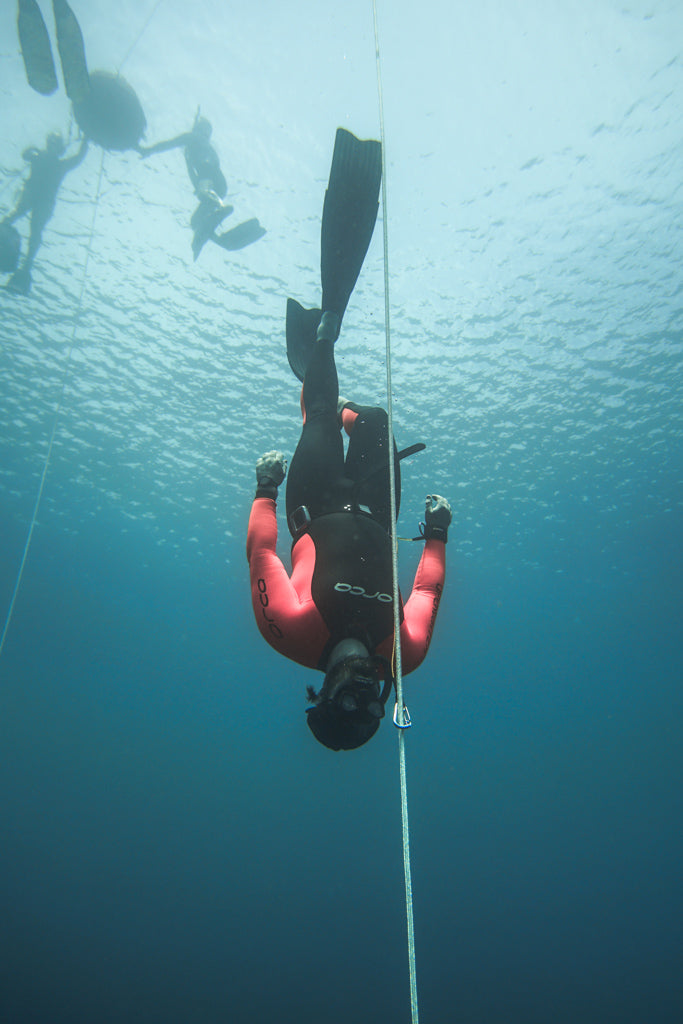 Level 2 Freediving Course - Gold Coast - 3 - 4 Day