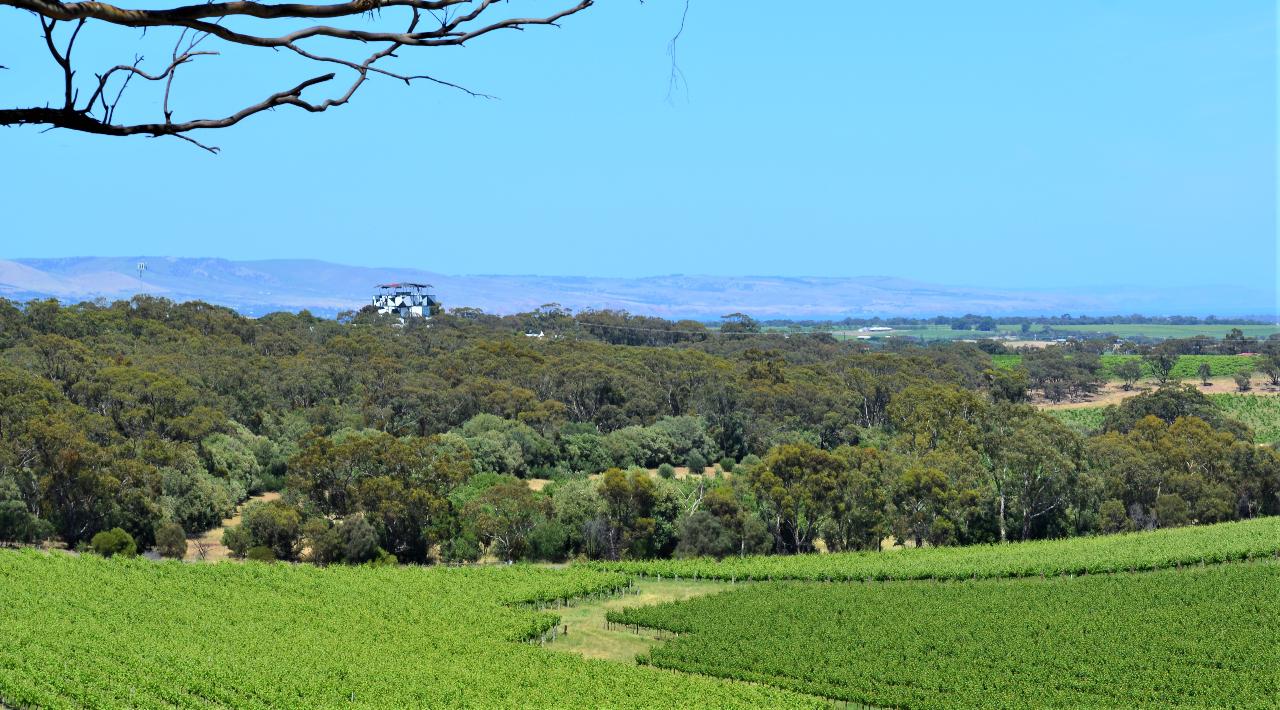Mclaren Vale Wine Tour - Exclusive Tour