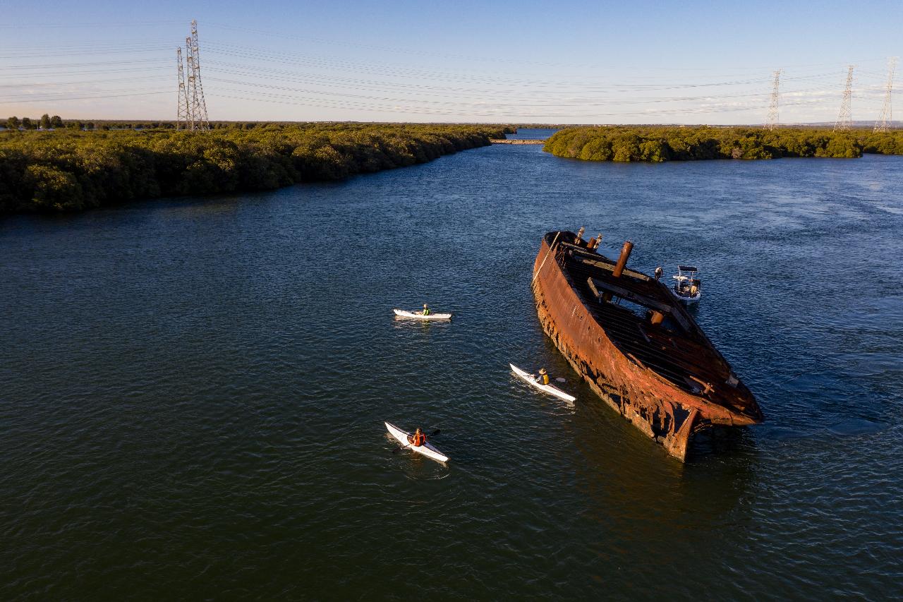 Adelaide Dolphin Sanctuary And Ships Graveyard Tour