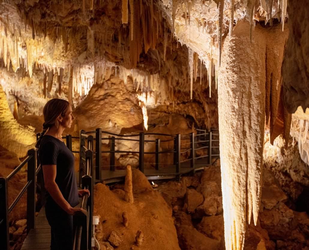 Margaret River Cycle & Wine Tour