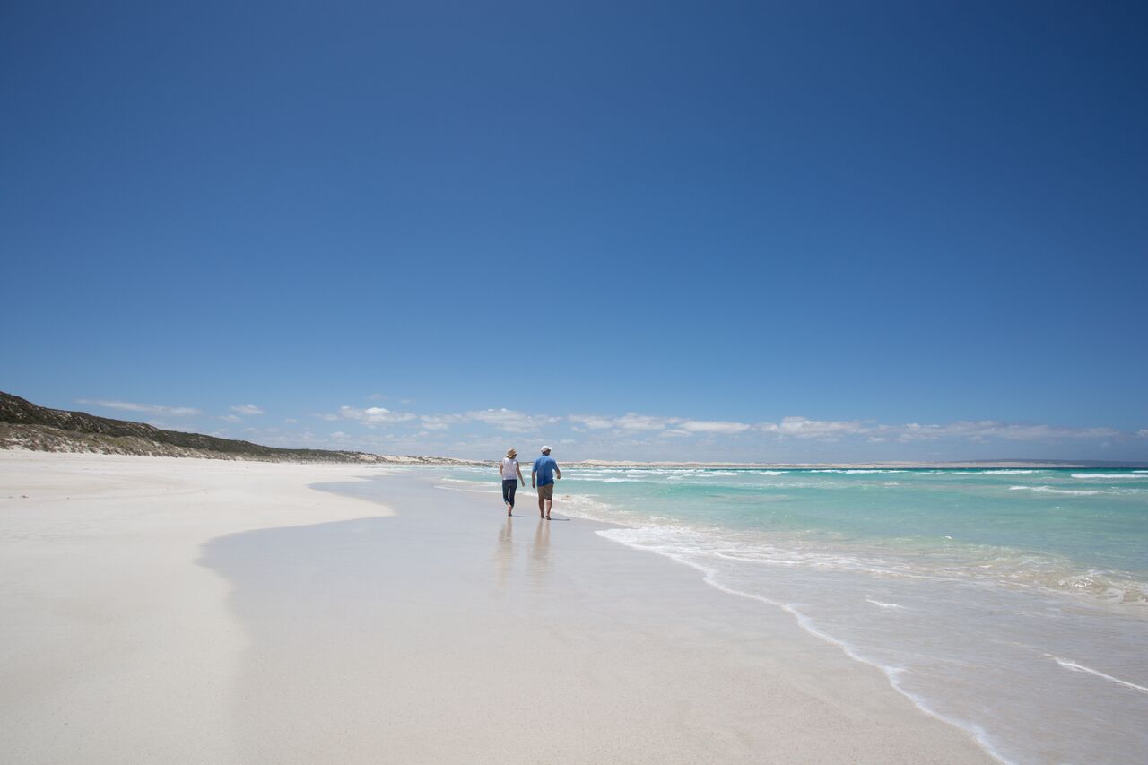 Coffin Bay Oysters, Ocean And Nature Tour - Full Day