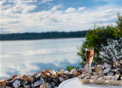 Oyster Farm Lunch With Shucking Lesson And Farming Story