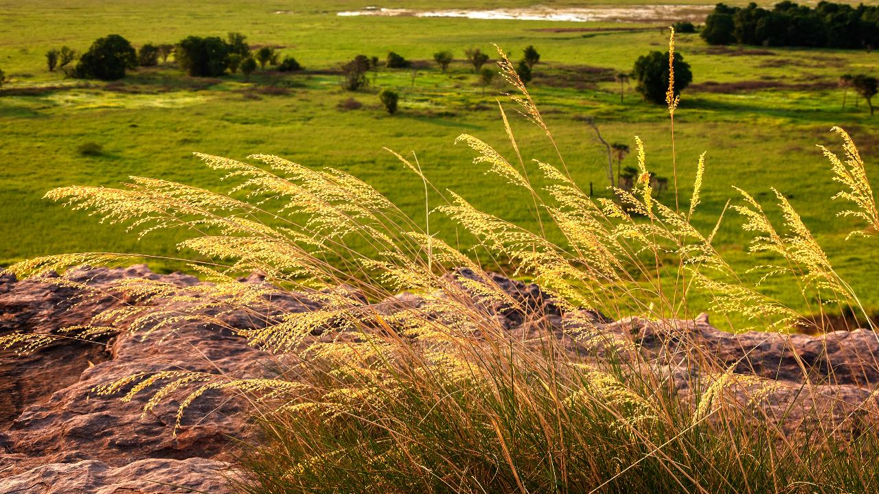 Kakadu 3 Day Cultural Rock Art Experience
