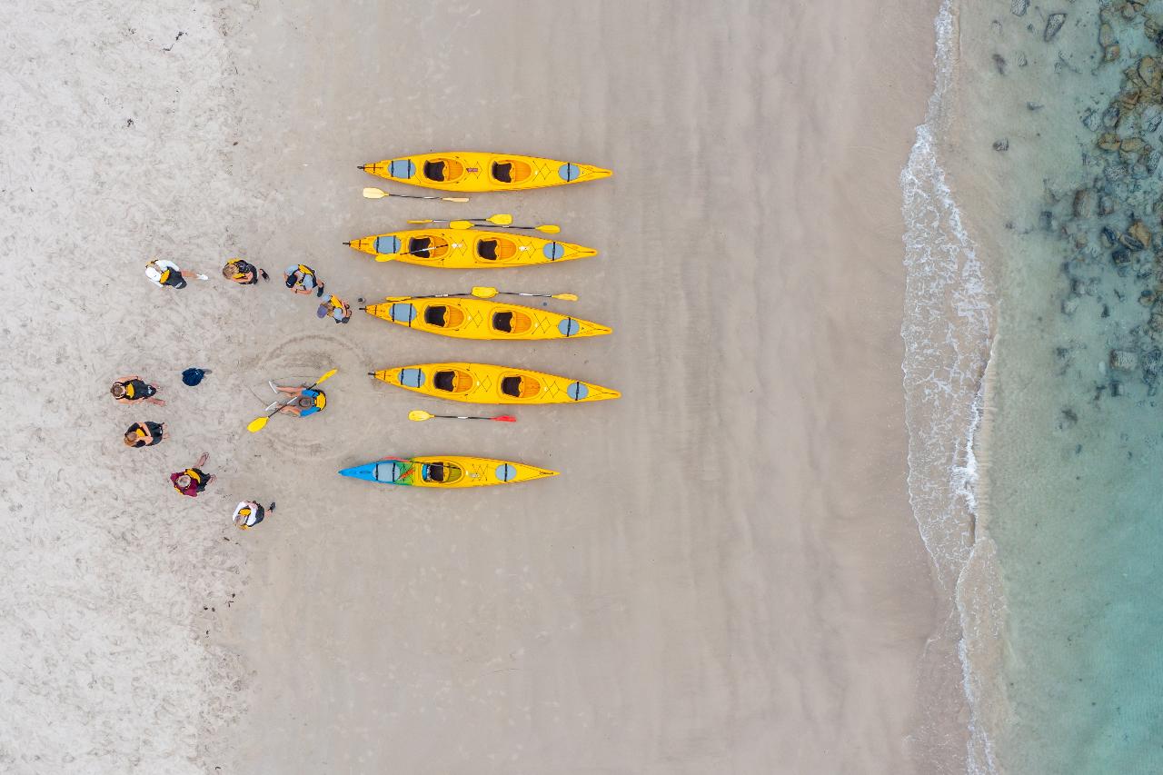 Rapid Bay Sea Kayaking Tour