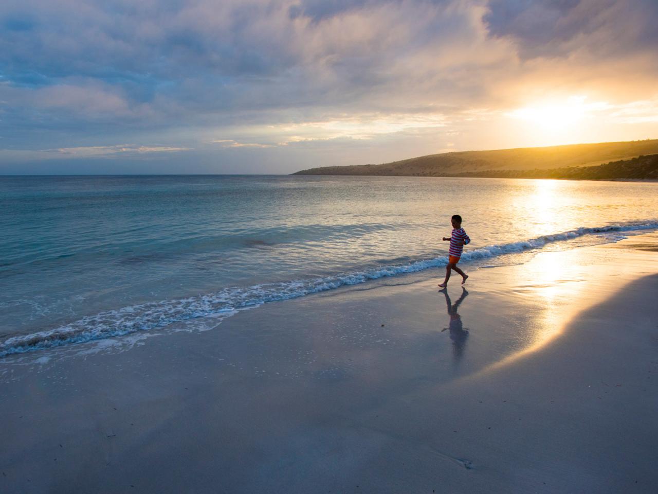 Private Coach - Lighthouse, Kangaroos And Views 24 Seater