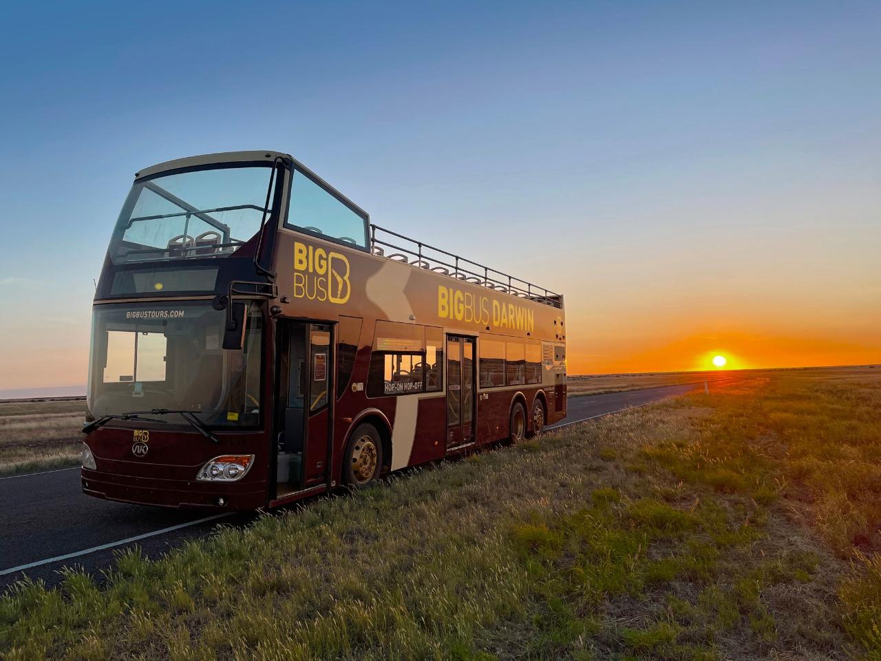 Croc N History Explorer