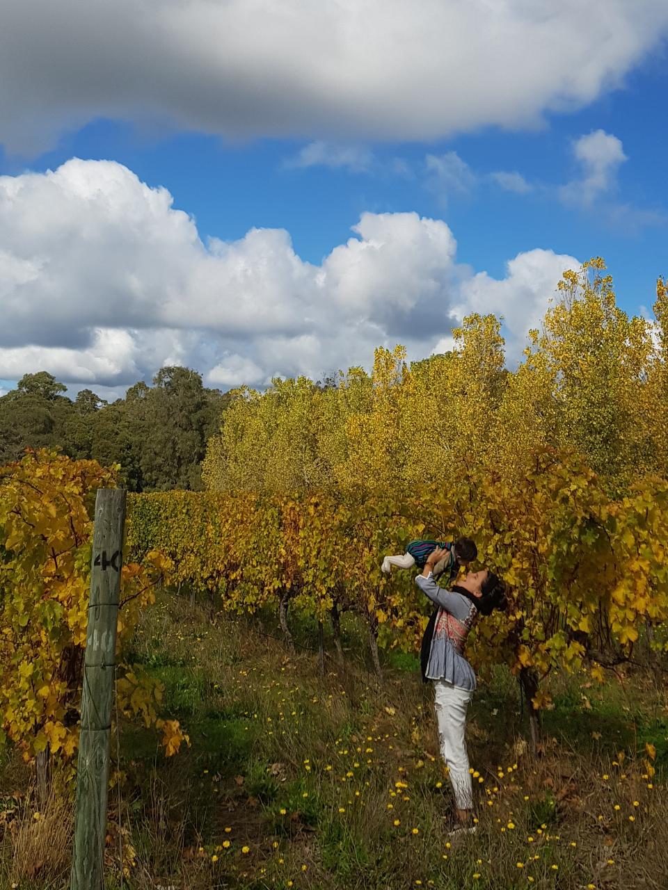 The All About Margaret River Tour: Wine, Coffee, Lunch And Forest