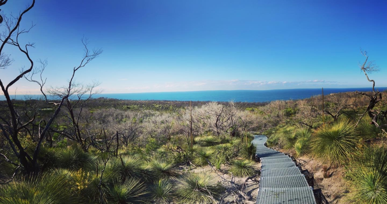 Private Tour - Nature, Culture And History, Immersion In North Head With Gourmet Picnic
