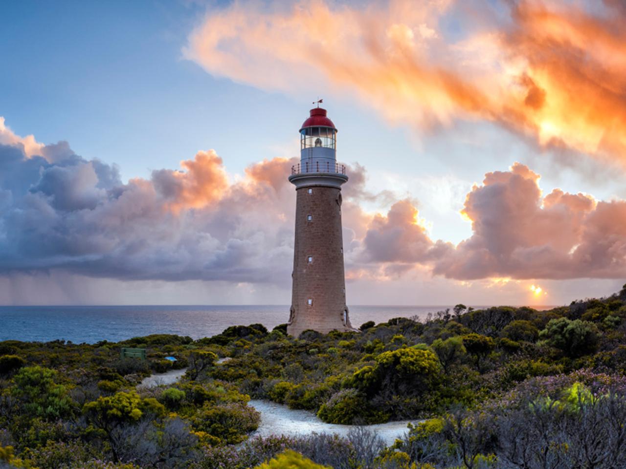 Private Coach - Lighthouse, Kangaroos And Views 24 Seater