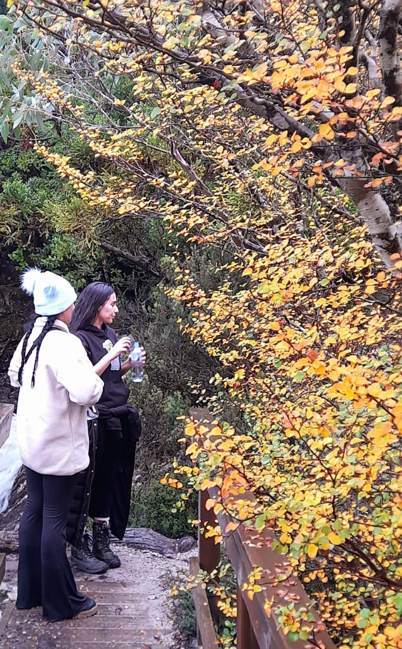 Big Day Out From Hobart To Cradle Mountain