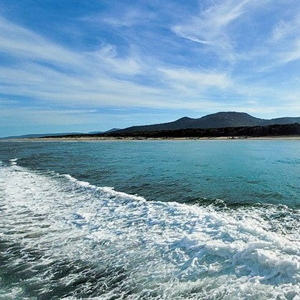 Wilsons Prom – Whale Cruise - Family