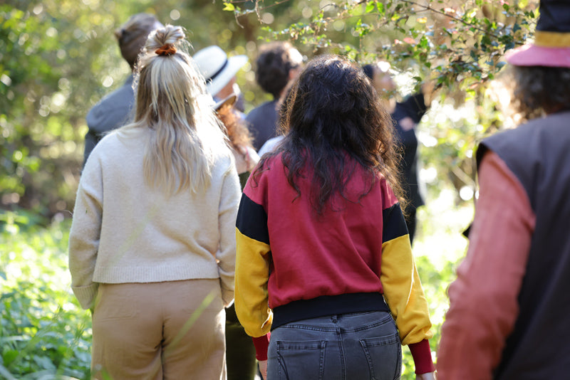 Bangalow Bush Tucker Tours
