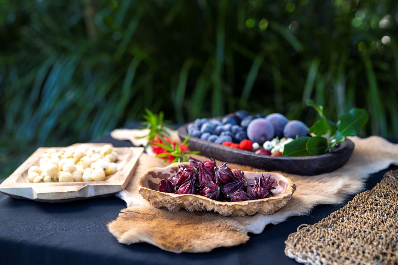 Bangalow Bush Tucker Tours