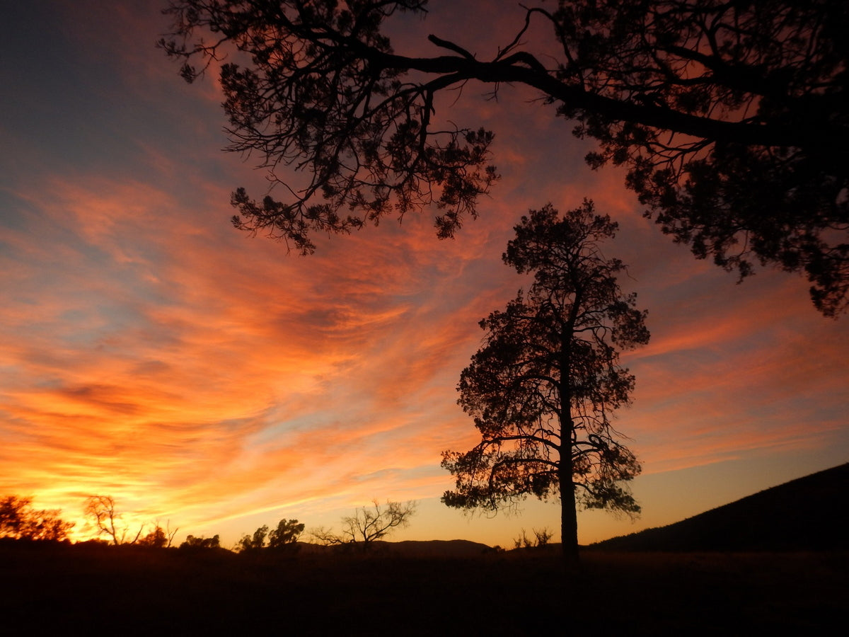 4-Day Lake Eyre & Flinders Ranges Small Group 4Wd Eco Safari