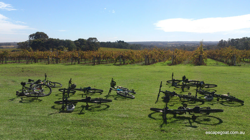 Mclaren Vale Bike And Wine Tour