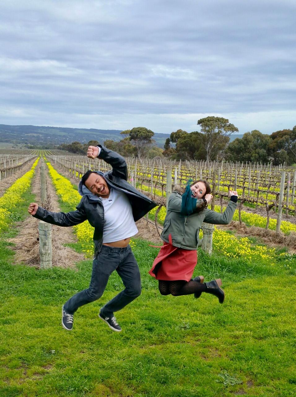 Mclaren Vale Full Day Wine Tour