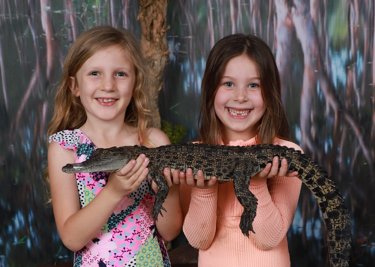 Croc N History Explorer