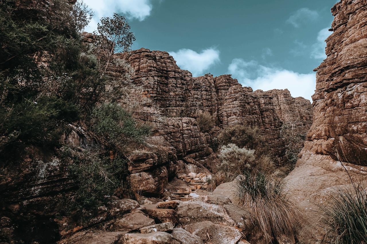Experience The Grampians On A Full Day Tour