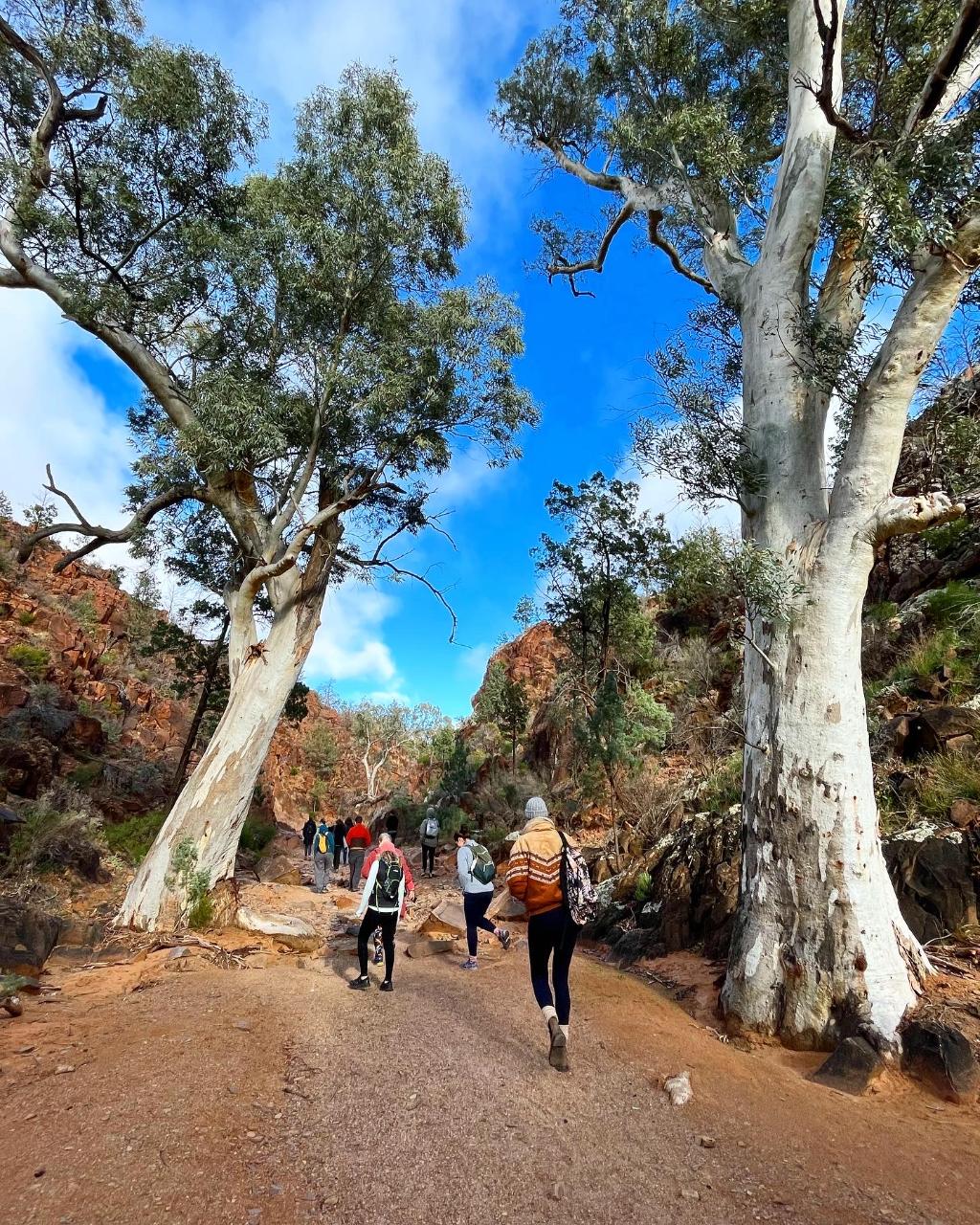 Wilpena Women's Weekend
