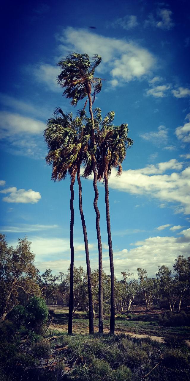 Side By Side - Palm Valley & Finke Gorge - Private Tour - 4Wd - Full Day