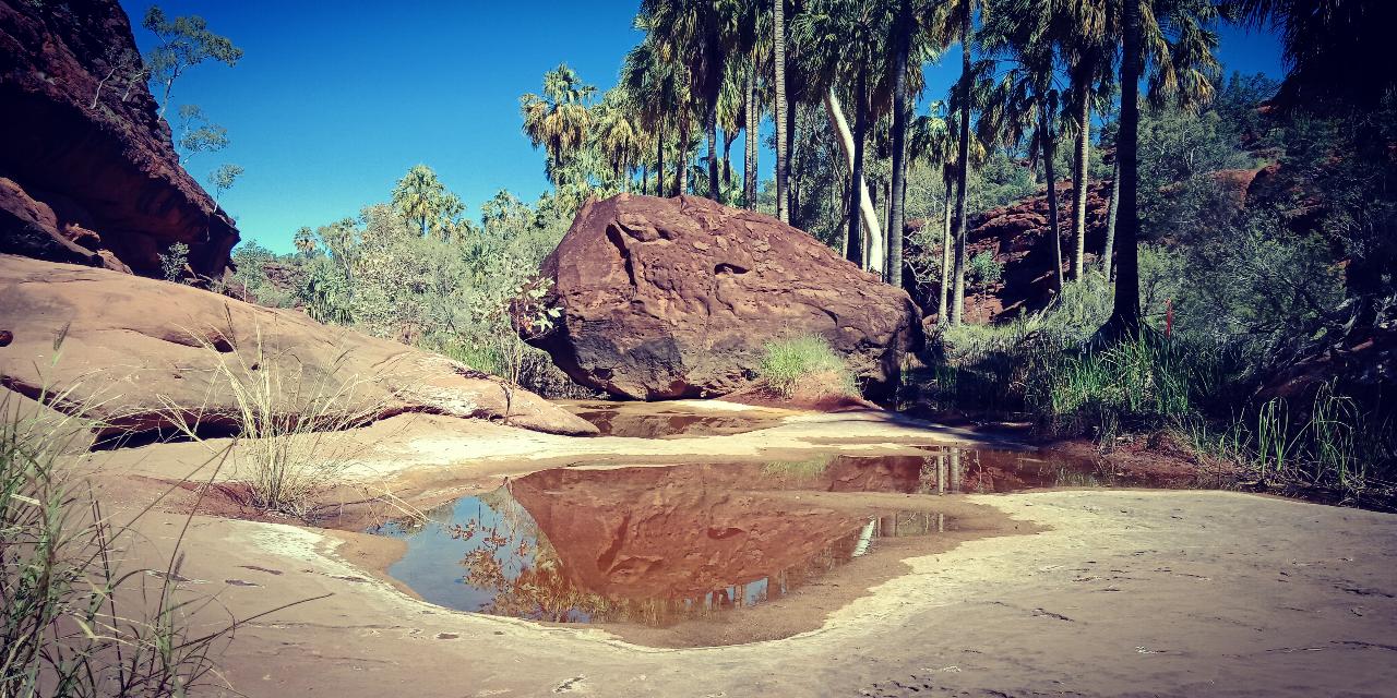 Side By Side - Palm Valley & Finke Gorge - Private Tour - 4Wd - Full Day