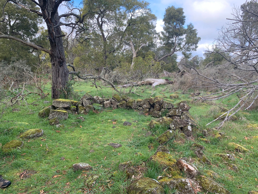 Tungatt Mirring - Stone Country Half Day Tour