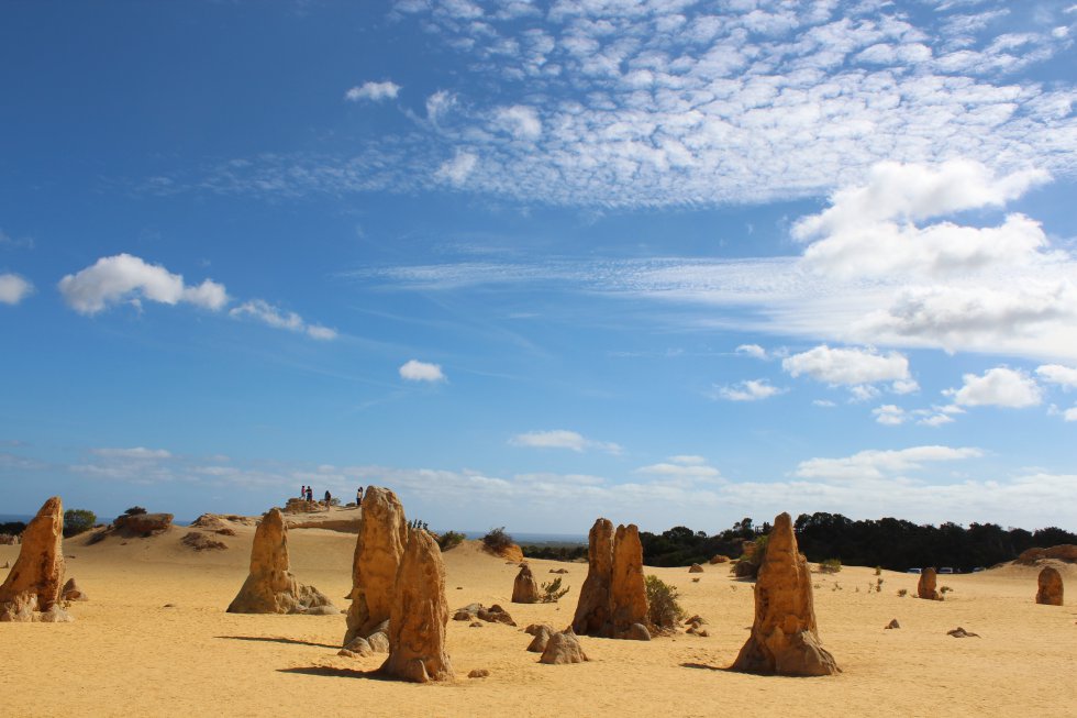 Pinnacles, Swan Valley Wildlife Park & Lancelin