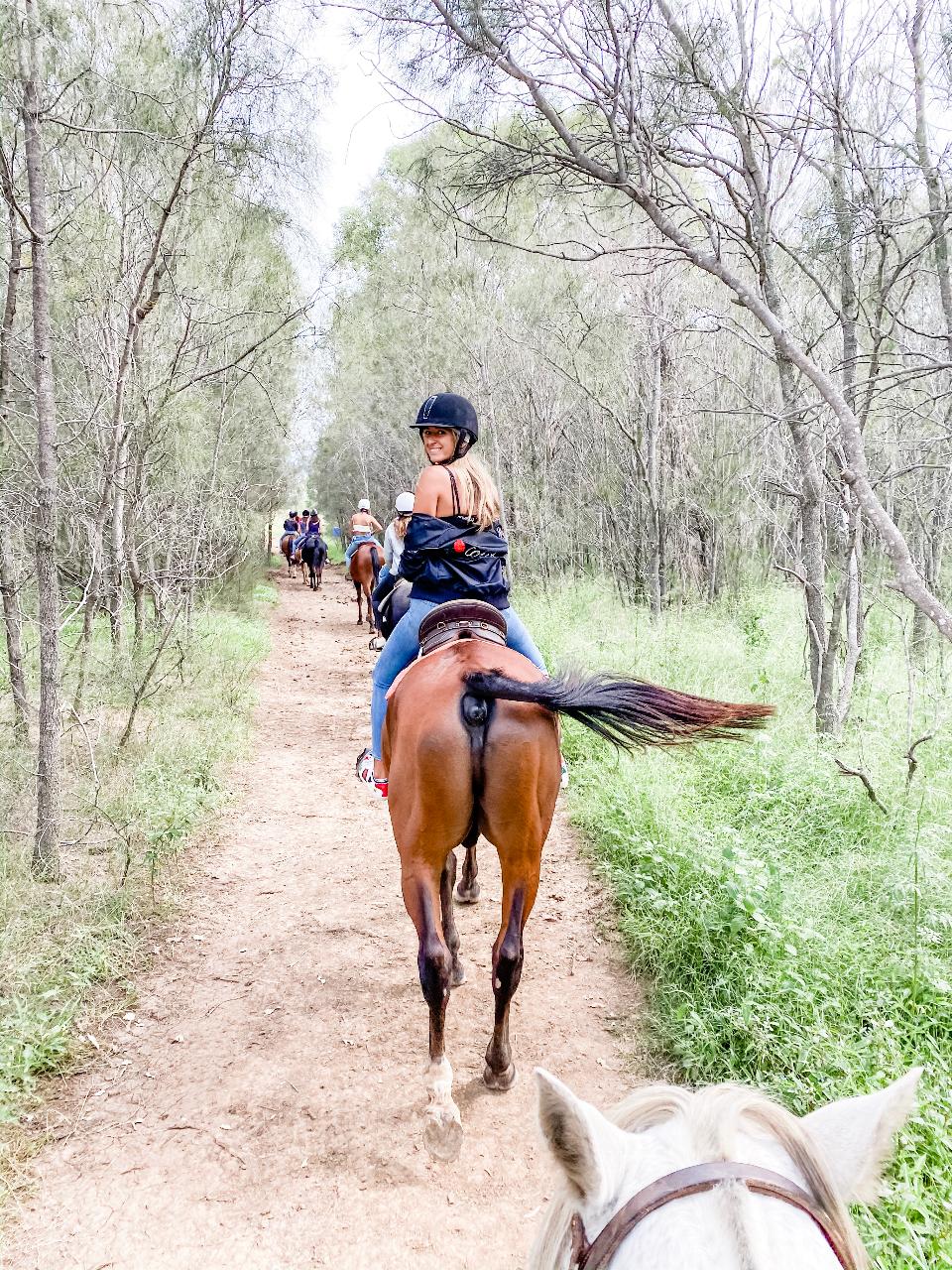 90-Minute Horseback Vineyard Trail Ride