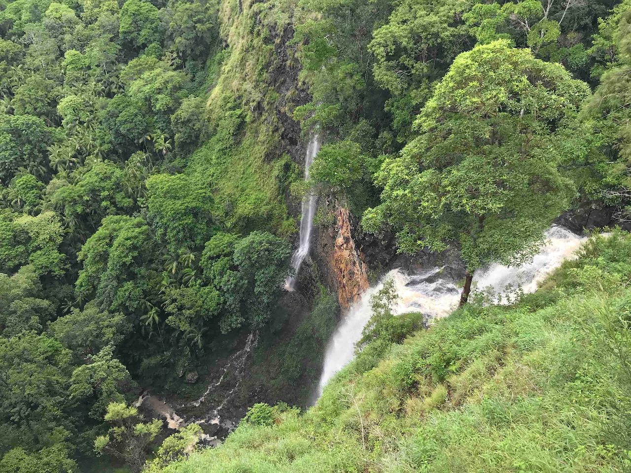 Maleny And Montville Tour With Artisan Village And Wine Tasting - Luxury Private Tour