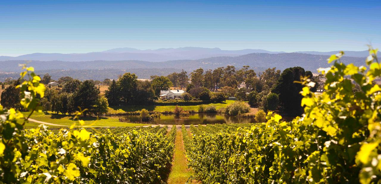Go Behind The Label At Josef Chromy Wines