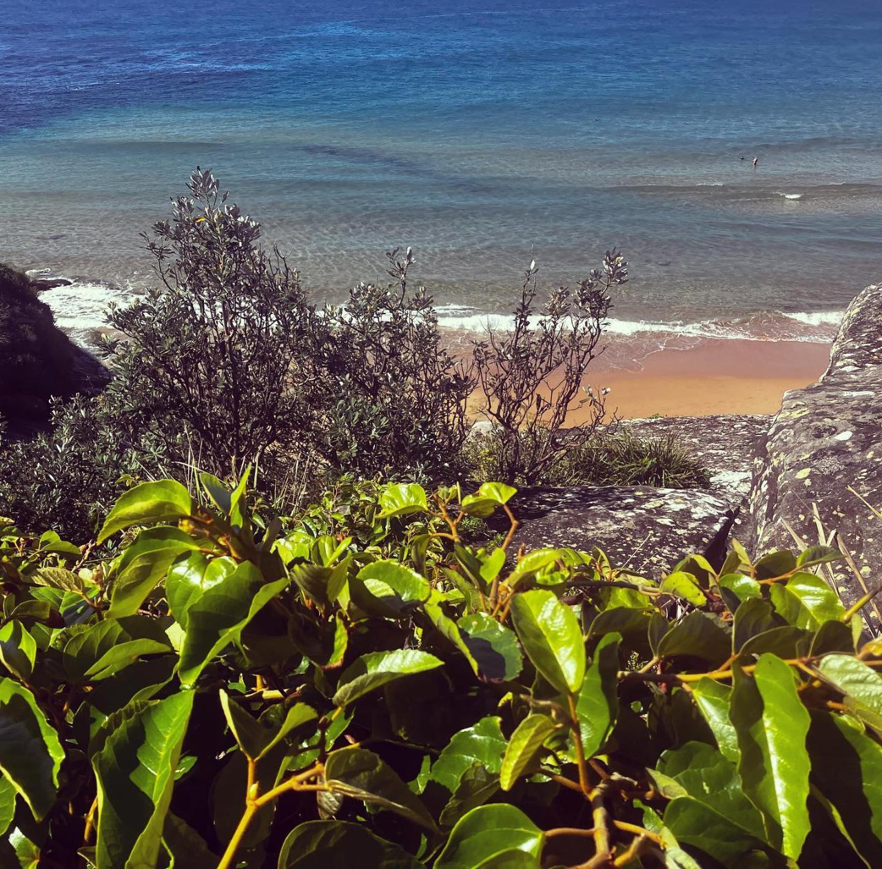 Serene Sights And Culinary Delights