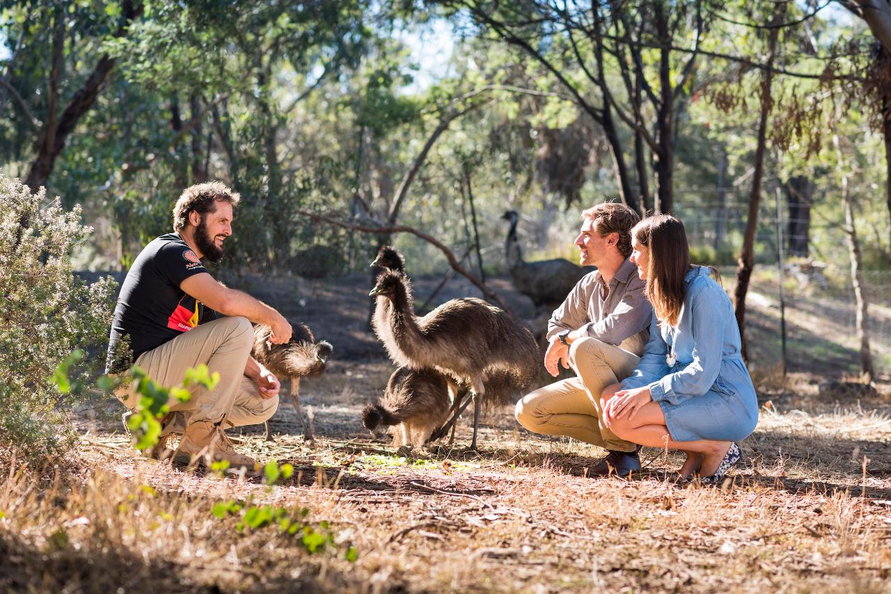 Bellarine Peninsula Sightseeing & Bay Cruise