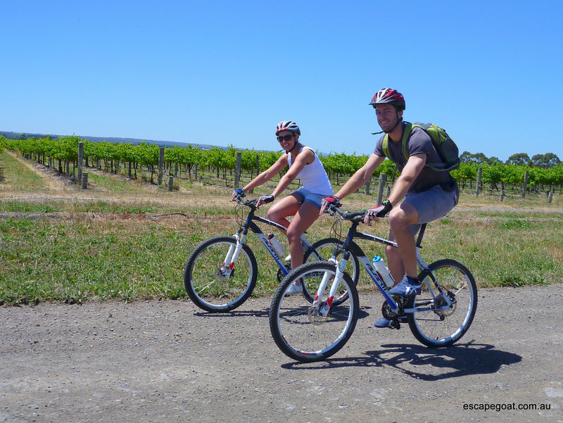 Mclaren Vale Bike And Wine Tour
