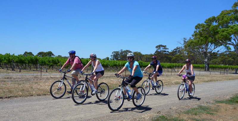 Mclaren Vale Bike And Wine Tour