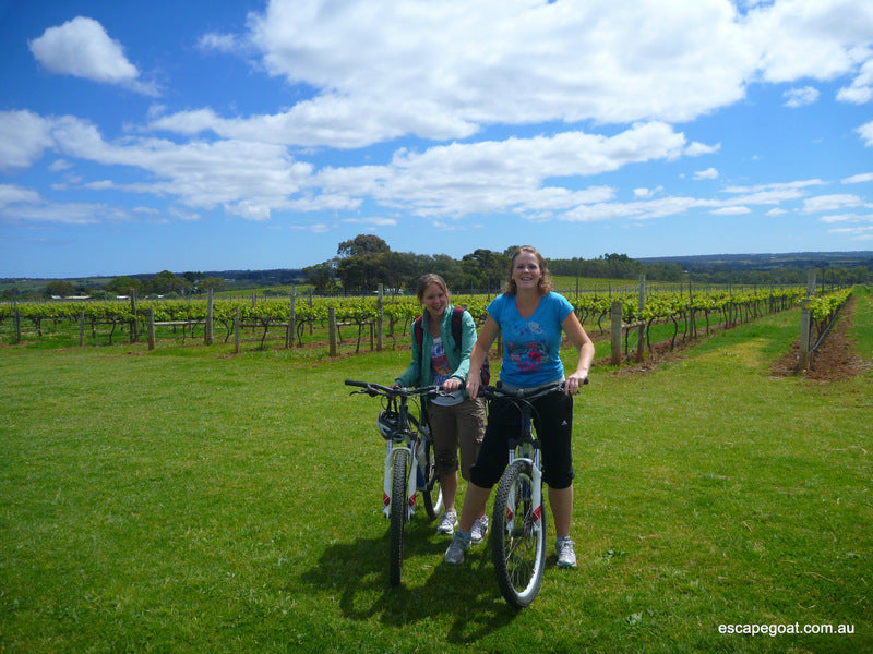 Mclaren Vale Bike And Wine Tour