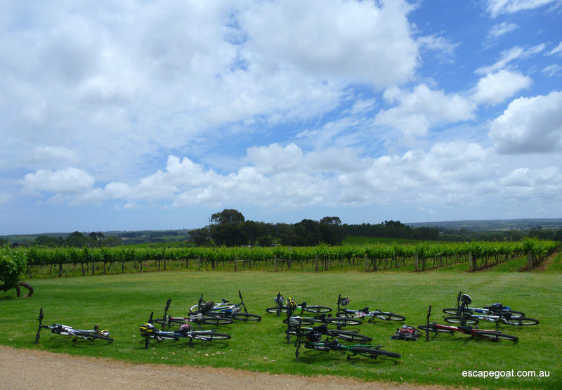 Mclaren Vale Bike And Wine Tour